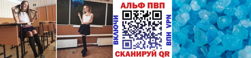 купить цена Сенгилей Альфа ПВП СК