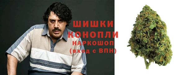 прущие грибы Алексеевка